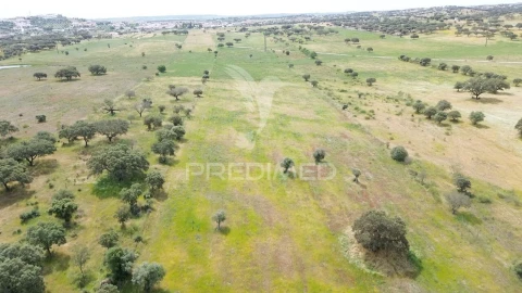 Terreno para Venda em Terena (São Pedro)