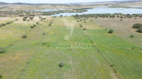 Terreno para Venda em Terena (São Pedro)