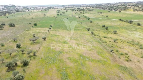 Terreno para Venda em Terena (São Pedro)