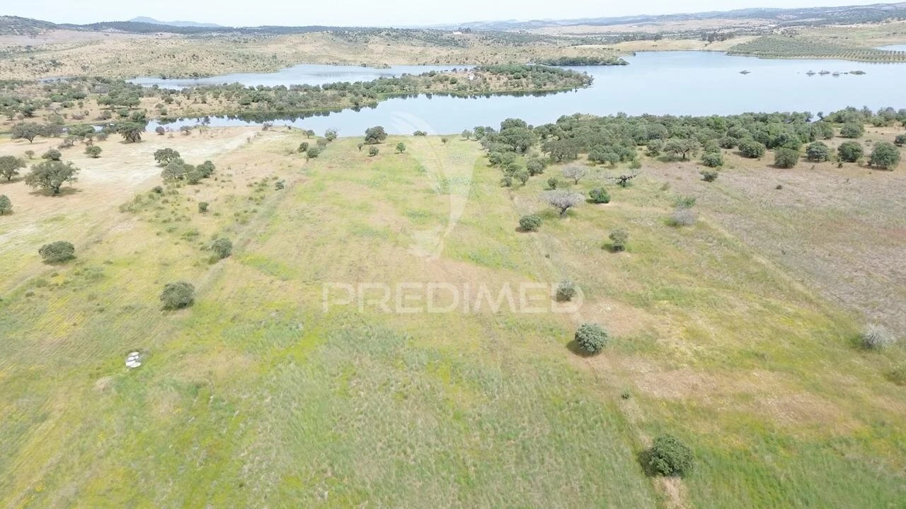 Terreno para Venda em Terena (São Pedro) Foto 7