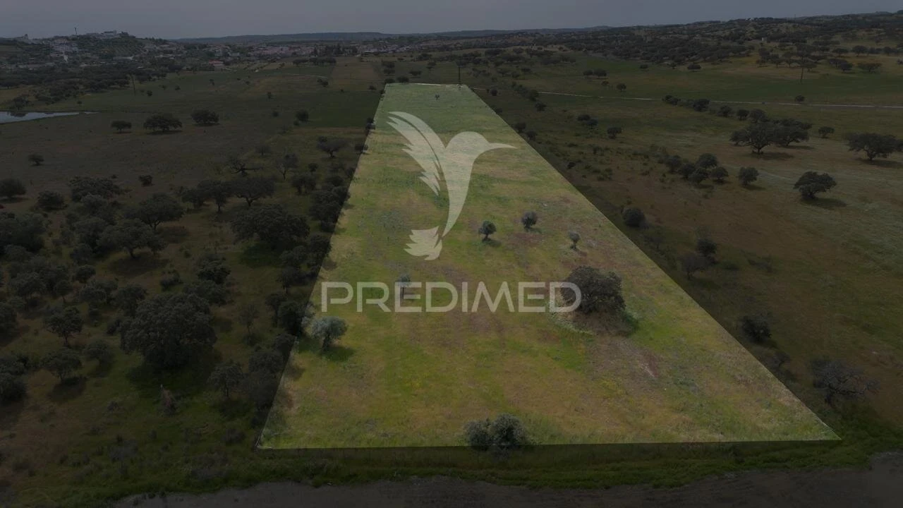 Terreno para Venda em Terena (São Pedro) Foto 2