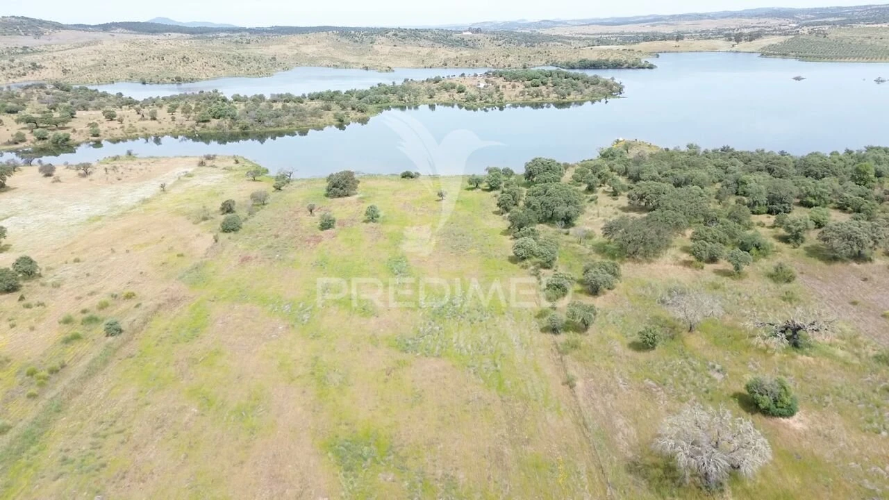 Terreno para Venda em Terena (São Pedro) Foto 10