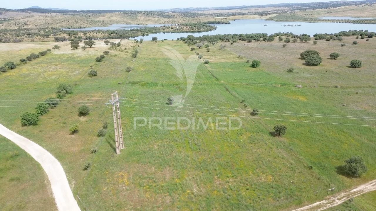 Terreno para Venda em Terena (São Pedro) Foto 3