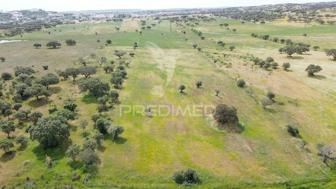 Terreno para Venda em Terena (São Pedro) Foto 17