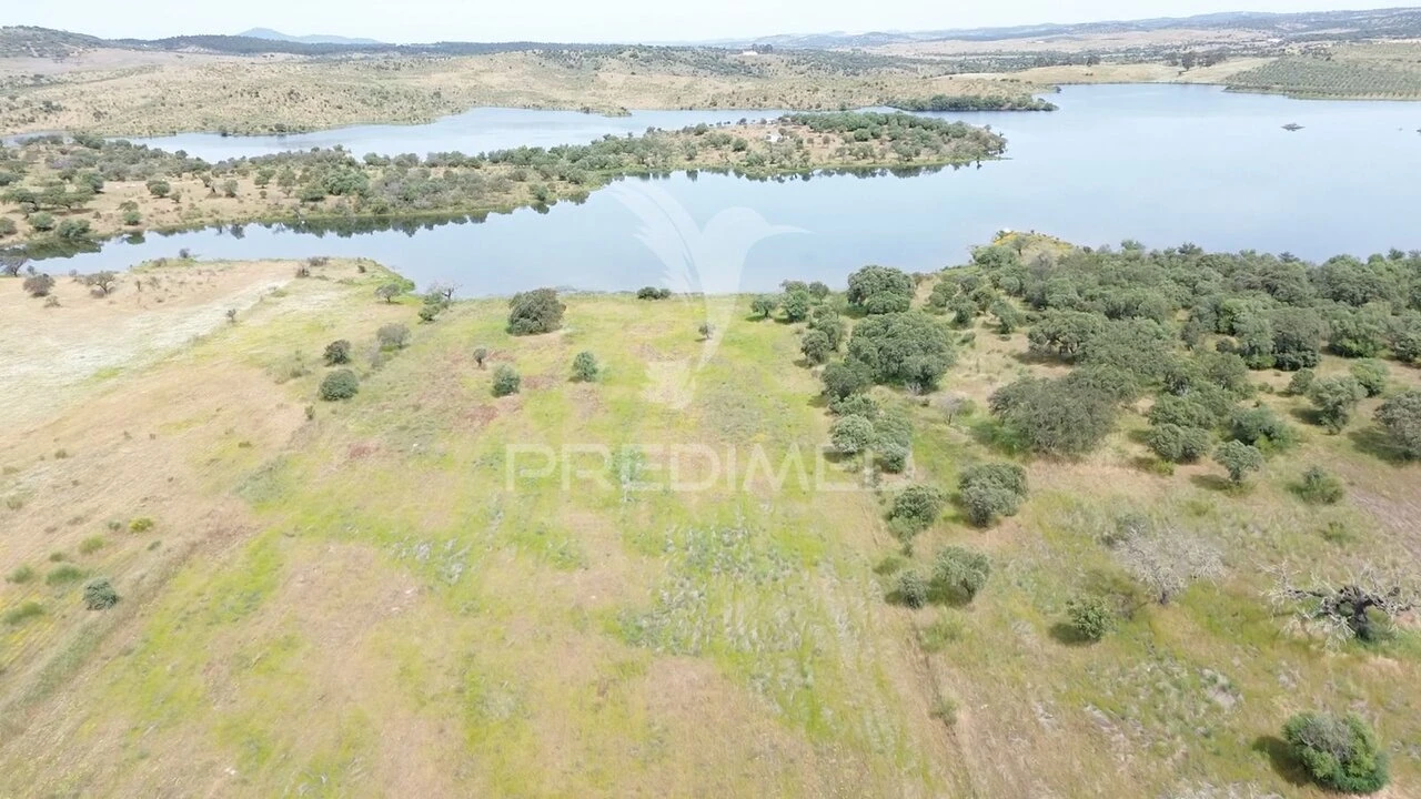 Terreno para Venda em Terena (São Pedro) Foto 11