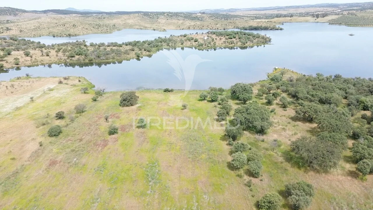 Terreno para Venda em Terena (São Pedro) Foto 12
