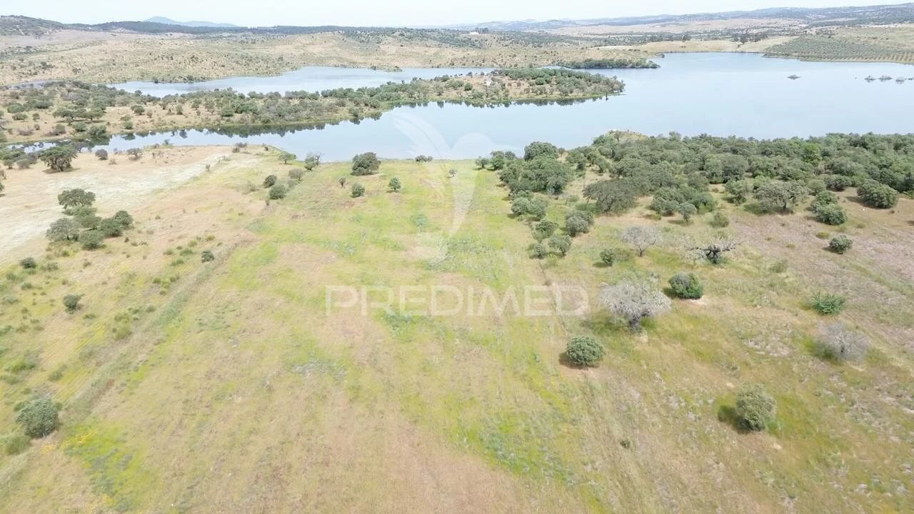 Terreno para Venda em Terena (São Pedro) Foto 9