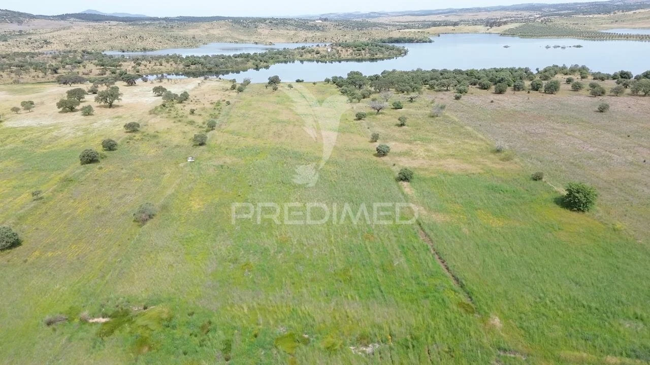Terreno para Venda em Terena (São Pedro) Foto 6
