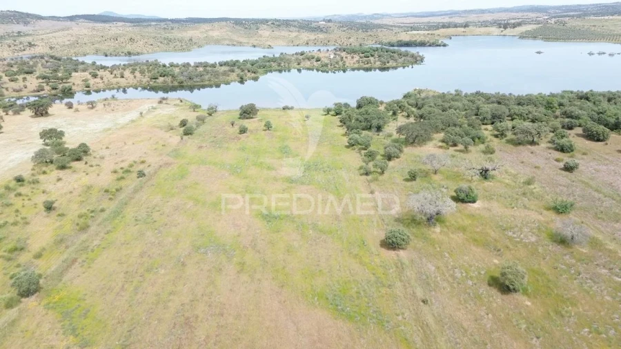 Terreno para Venda em Terena (São Pedro) Foto 9