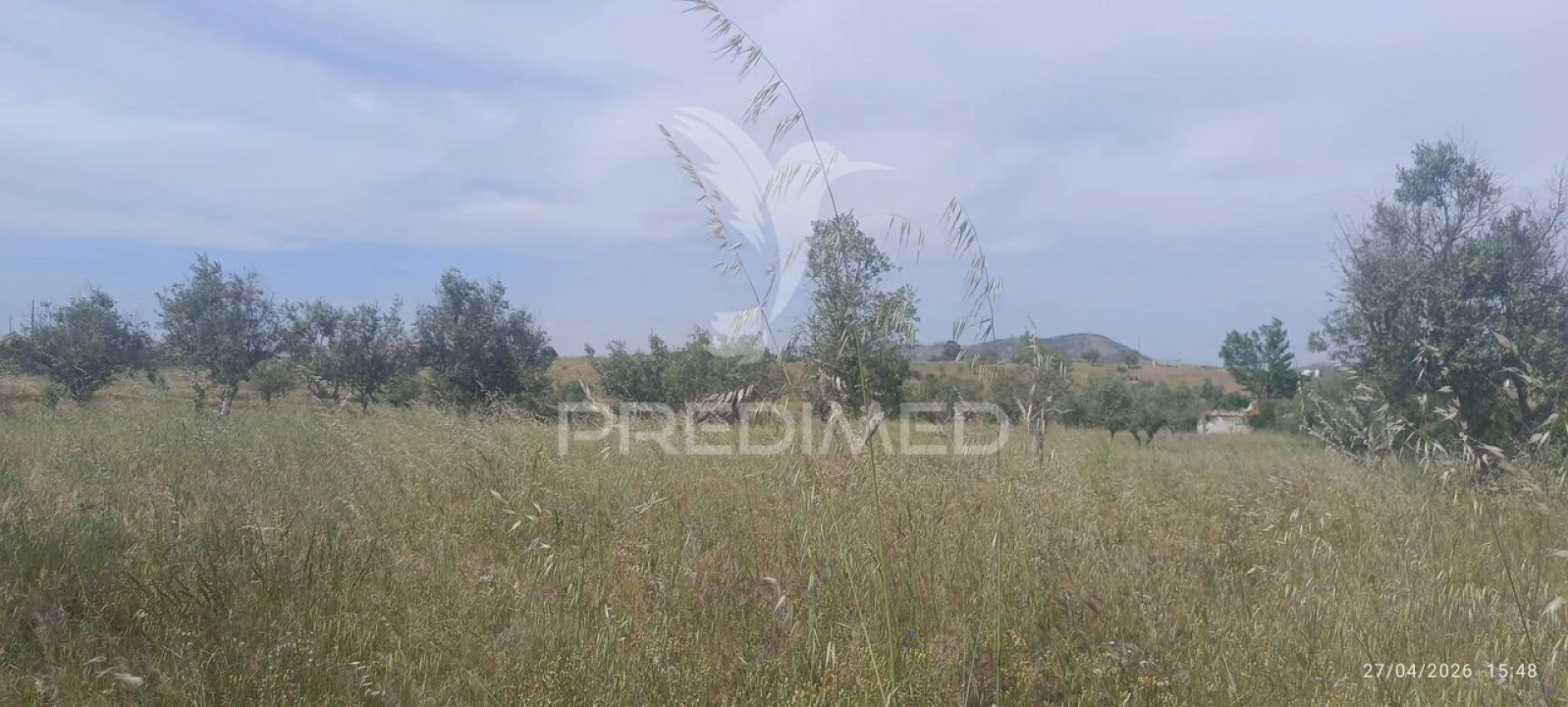Terreno para Venda em Espírito Santo, Nossa Senhora da Graça e São Simão Foto 3