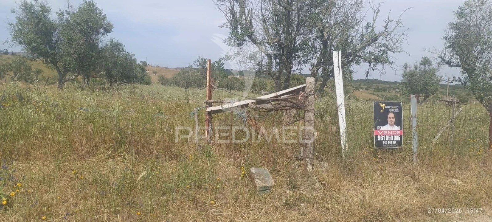 Terreno para Venda em Espírito Santo, Nossa Senhora da Graça e São Simão Foto 5