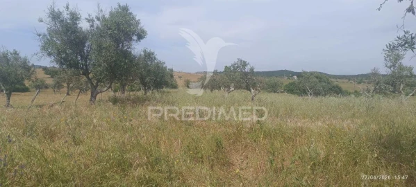 Terreno para Venda em Espírito Santo, Nossa Senhora da Graça e São Simão