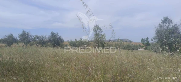 Terreno para Venda em Espírito Santo, Nossa Senhora da Graça e São Simão