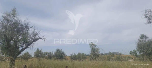 Terreno para Venda em Espírito Santo, Nossa Senhora da Graça e São Simão