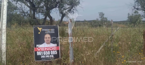 Terreno para Venda em Espírito Santo, Nossa Senhora da Graça e São Simão