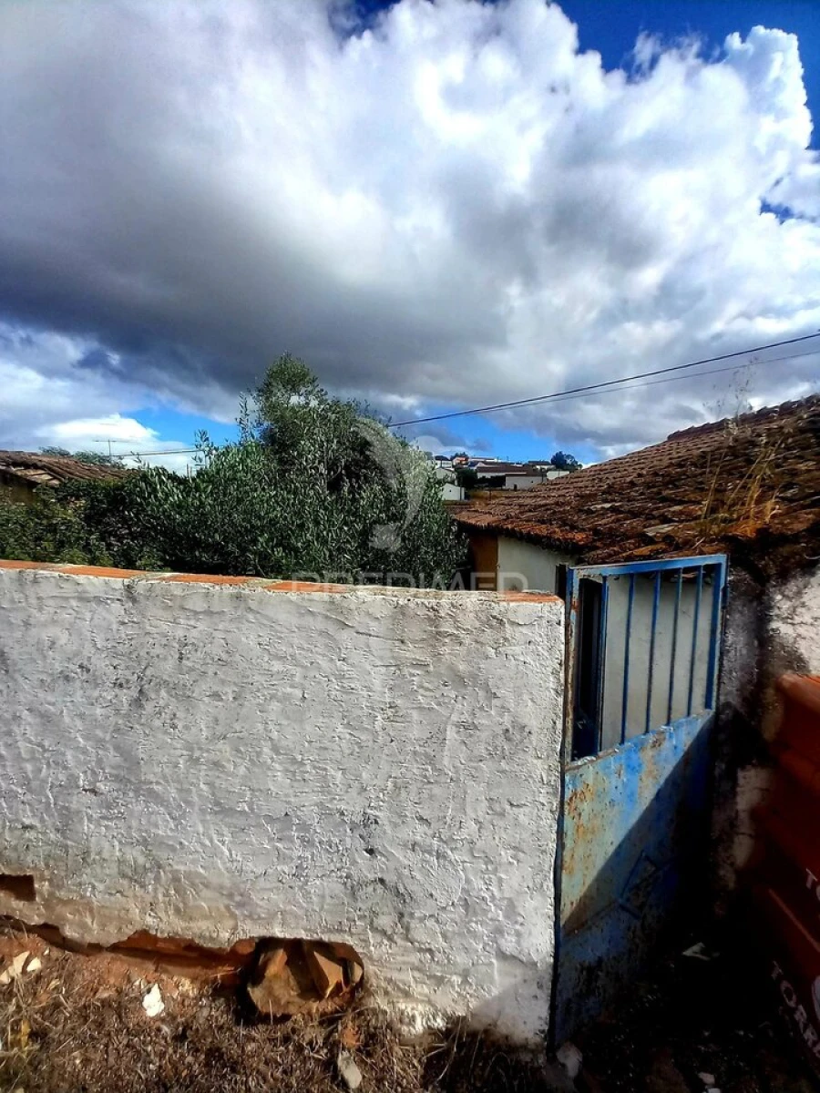 Moradia T1 para Venda em Terena (São Pedro) Foto 11