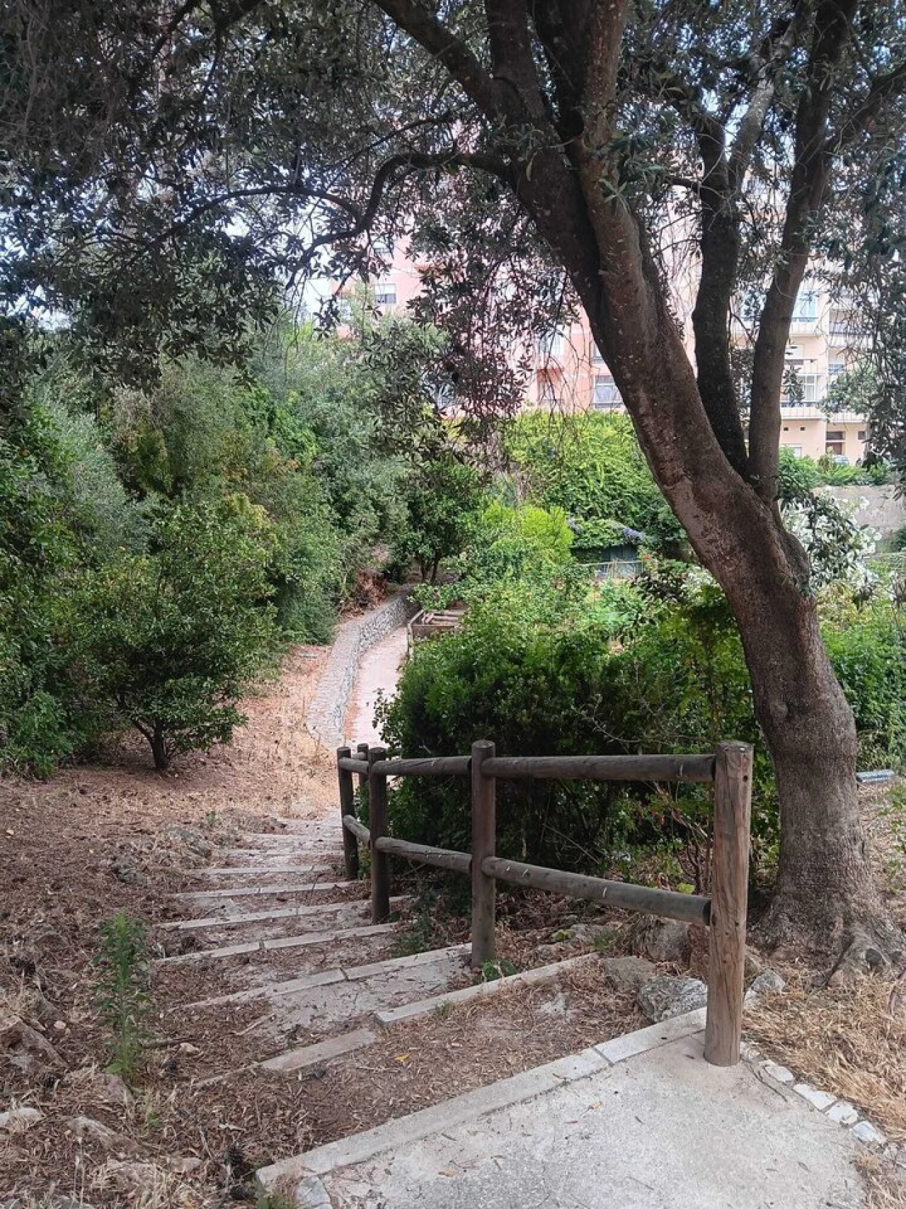Apartamento T1 para Venda em Cascais e Estoril Foto 1