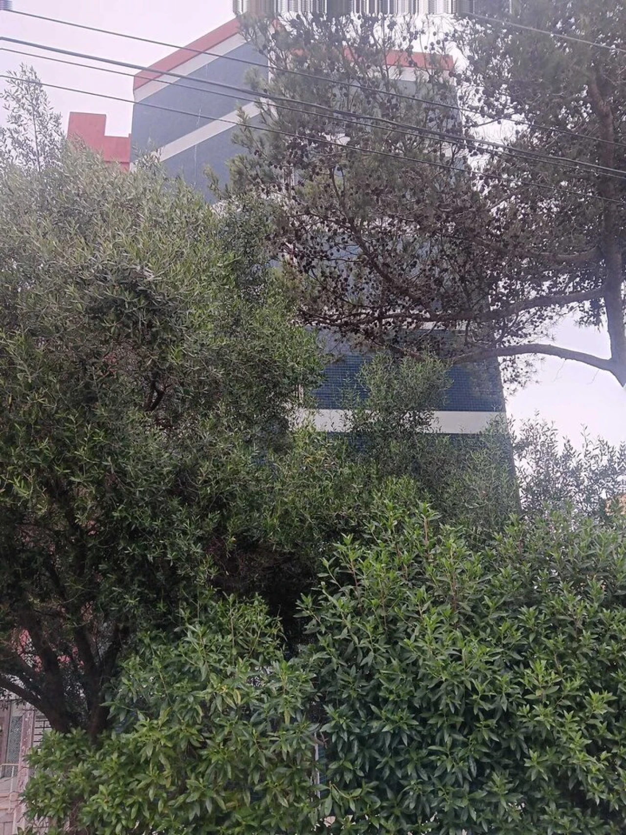Apartamento T1 para Venda em Cascais e Estoril Foto 3