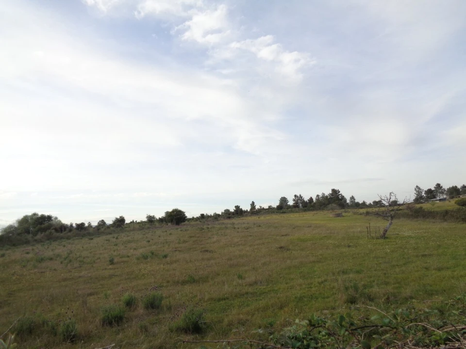 Terreno para Venda em São Miguel de Acha Foto 3