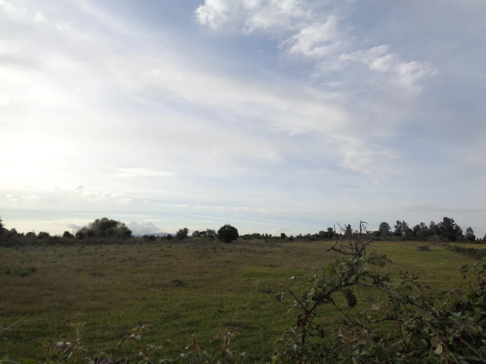 Terreno para Venda em São Miguel de Acha Foto 5