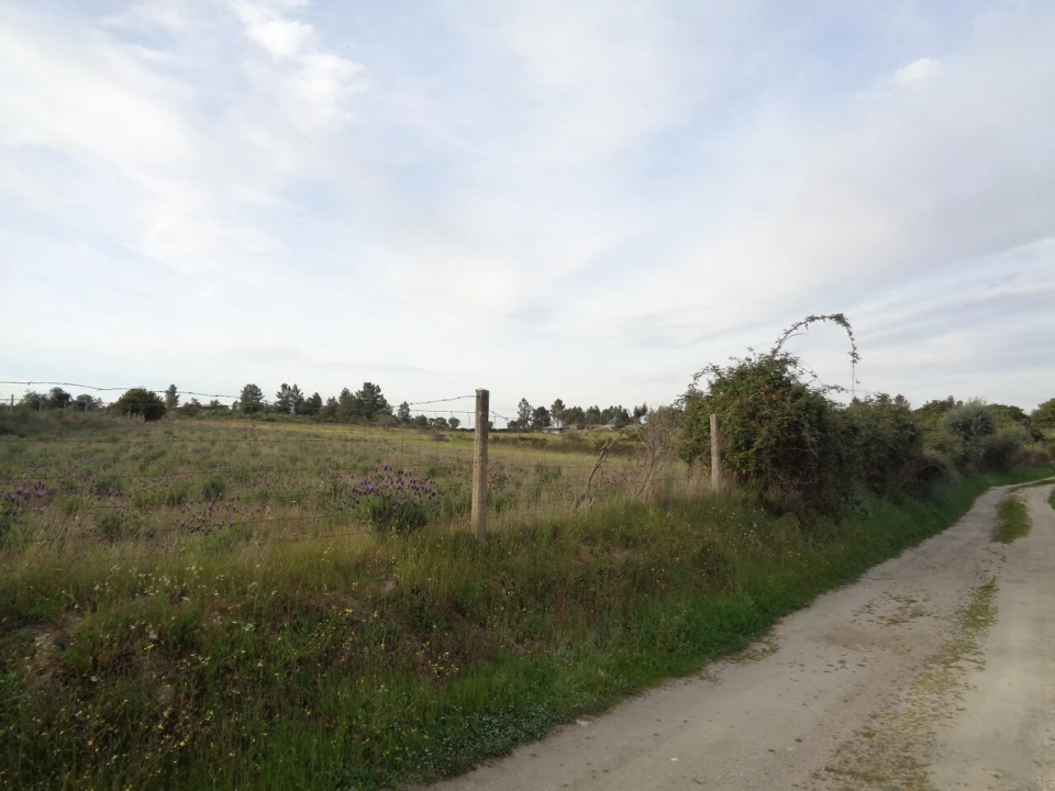 Terreno para Venda em São Miguel de Acha Foto 9
