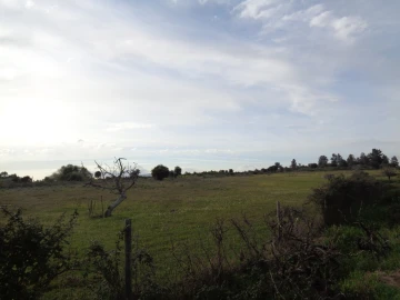 Terreno para Venda em São Miguel de Acha
