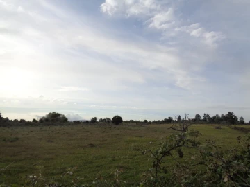 Terreno para Venda em São Miguel de Acha