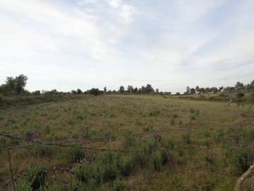 Terreno para Venda em São Miguel de Acha