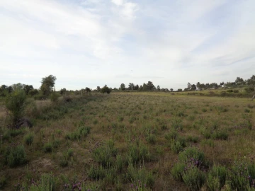 Terreno para Venda em São Miguel de Acha