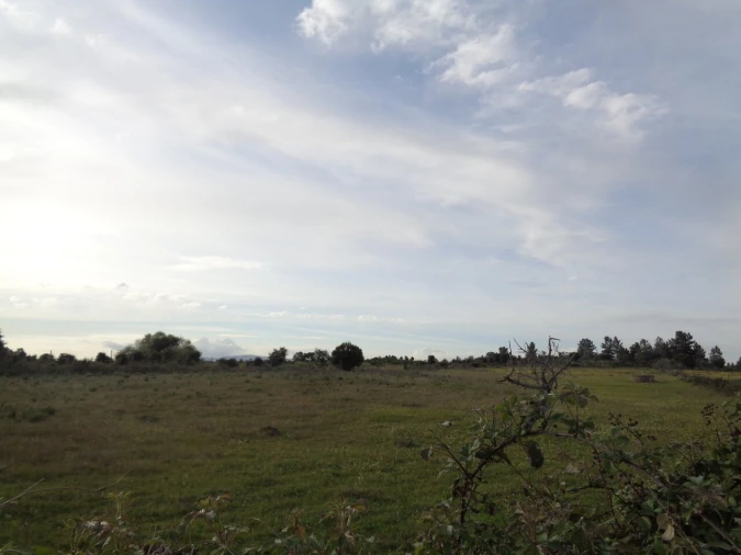 Terreno para Venda em São Miguel de Acha Foto 5
