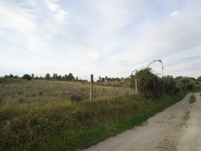 Terreno para Venda em São Miguel de Acha Foto 9
