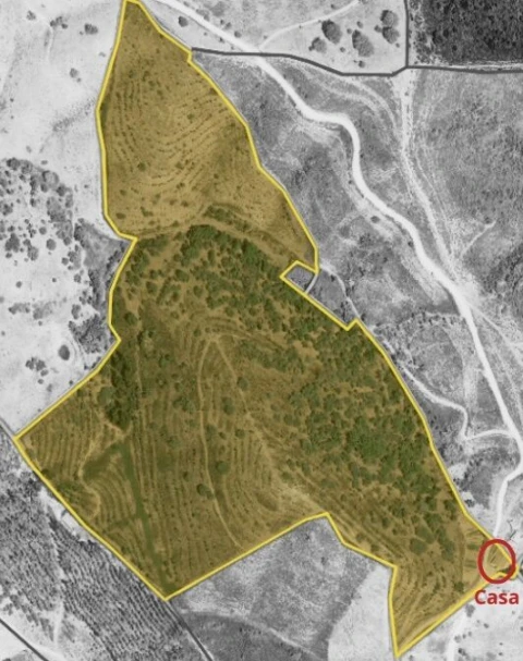 Moradia T4 para Venda em Santana da Serra
