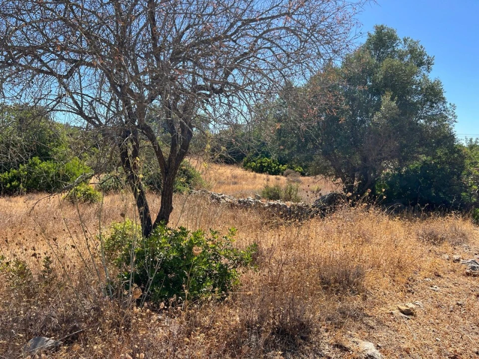 Terreno para Venda em Ferreiras Foto 14