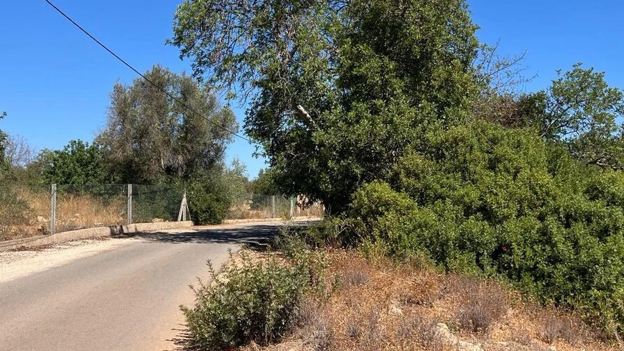 Terreno para Venda em Ferreiras