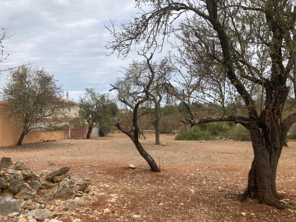 Terreno para Venda em Paderne Foto 4