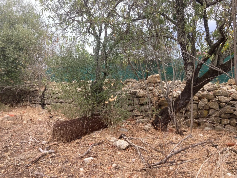 Terreno para Venda em Paderne Foto 2