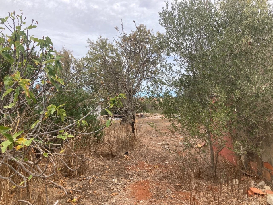 Terreno para Venda em Paderne Foto 17