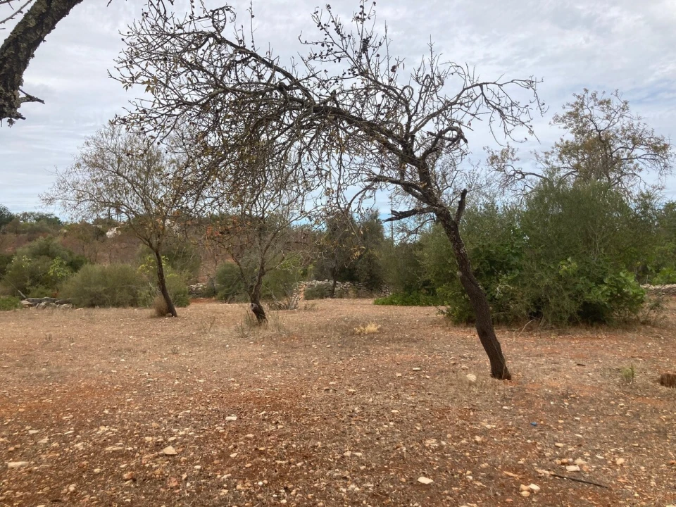 Terreno para Venda em Paderne Foto 18