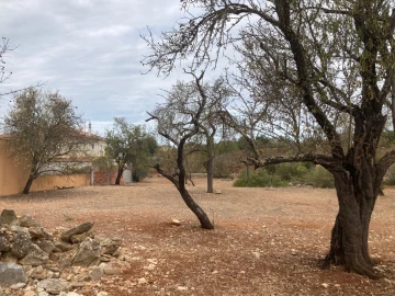 Terreno para Venda em Paderne