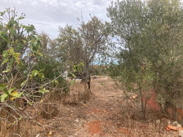 Terreno para Venda em Paderne