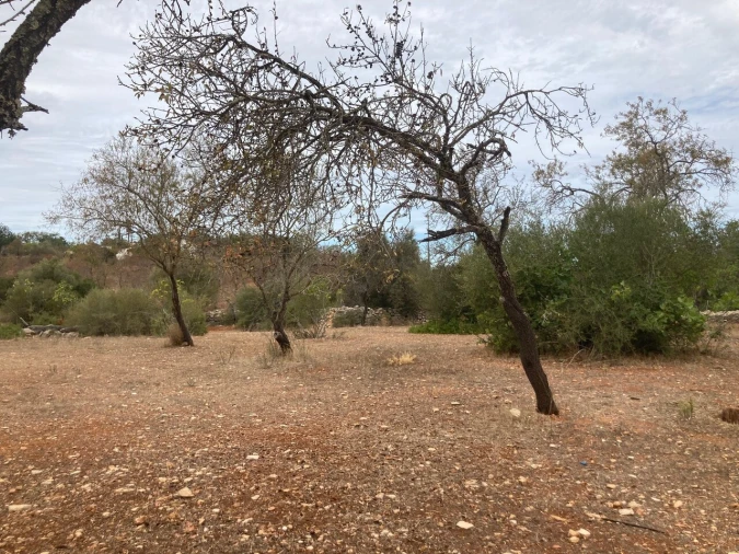 Terreno para Venda em Paderne Foto 18