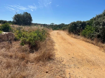 Terreno para Venda em Ferreiras