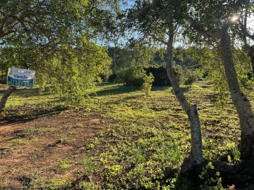 Terreno para Venda em Boliqueime