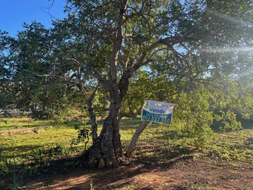 Terreno para Venda em Boliqueime