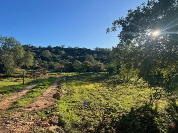 Terreno para Venda em Boliqueime