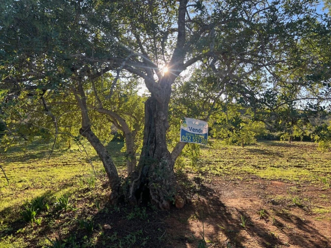 Terreno para Venda em Boliqueime Foto 7