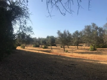 Terreno para Venda em Algoz e Tunes
