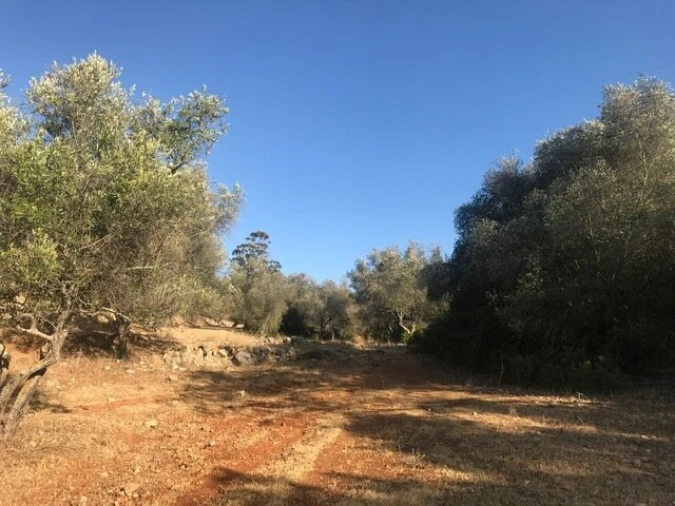 Terreno para Venda em Algoz e Tunes Foto 11