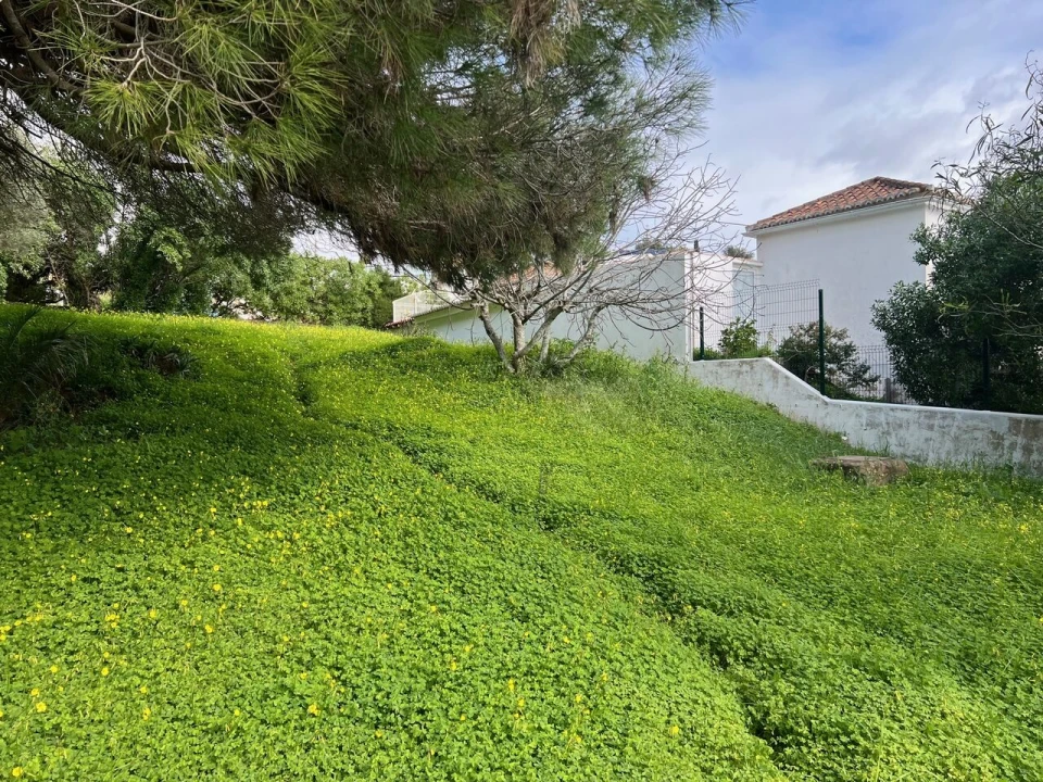 Terreno para Venda em Guia Foto 6