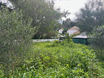 Terreno para Venda em Guia